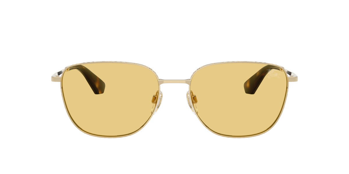 BURBERRY 3171