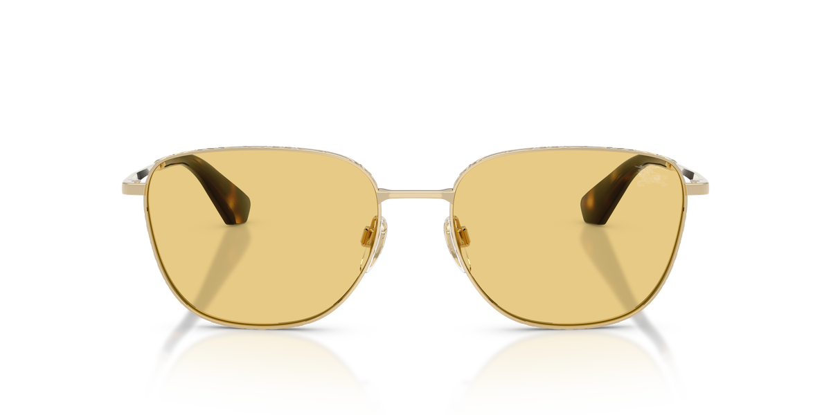 BURBERRY 3171