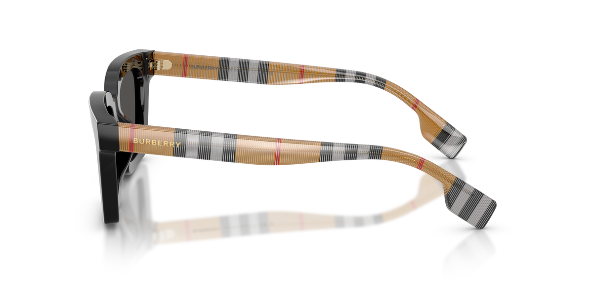 BURBERRY BRIAR