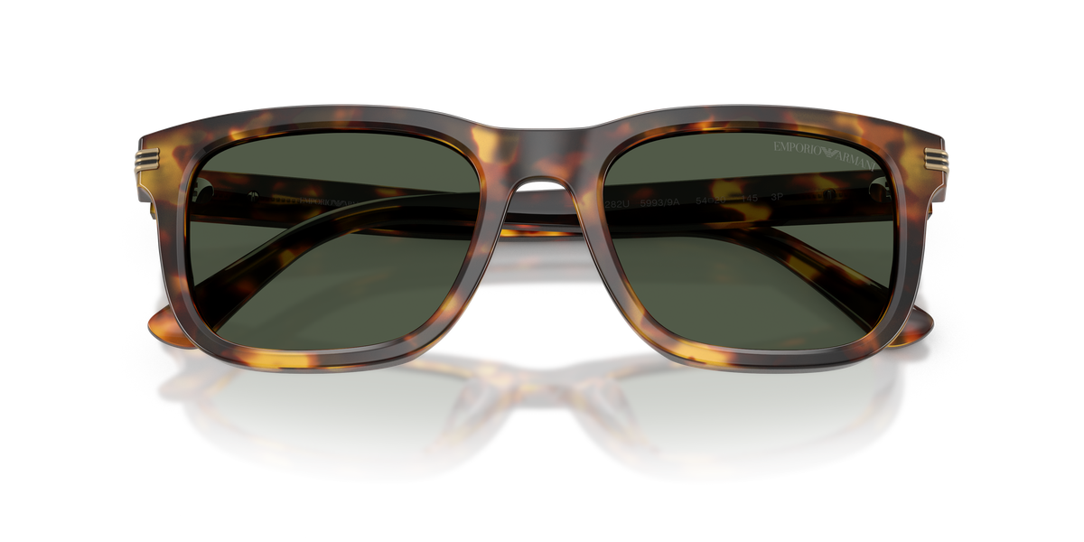 EMPORIO ARMANI 4282 POLARIZED