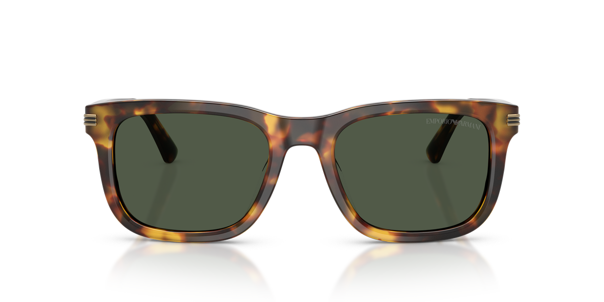 EMPORIO ARMANI 4282 POLARIZED