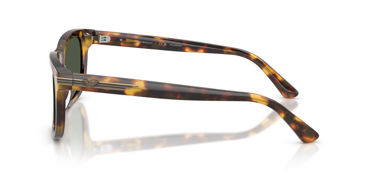 EMPORIO ARMANI 4282 POLARIZED