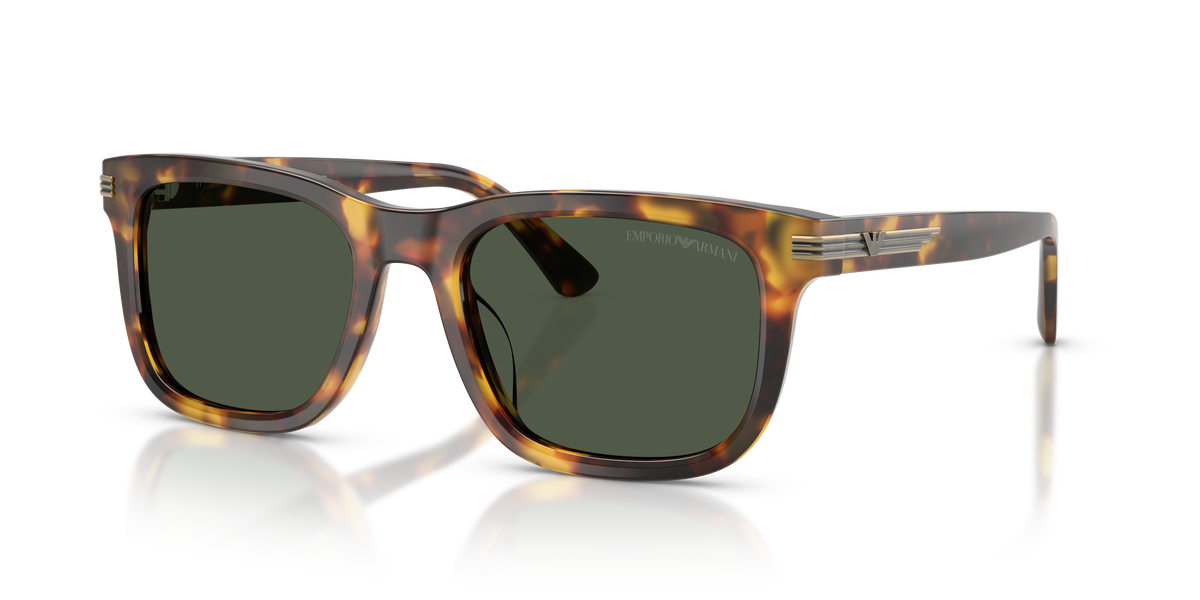 EMPORIO ARMANI 4282 POLARIZED