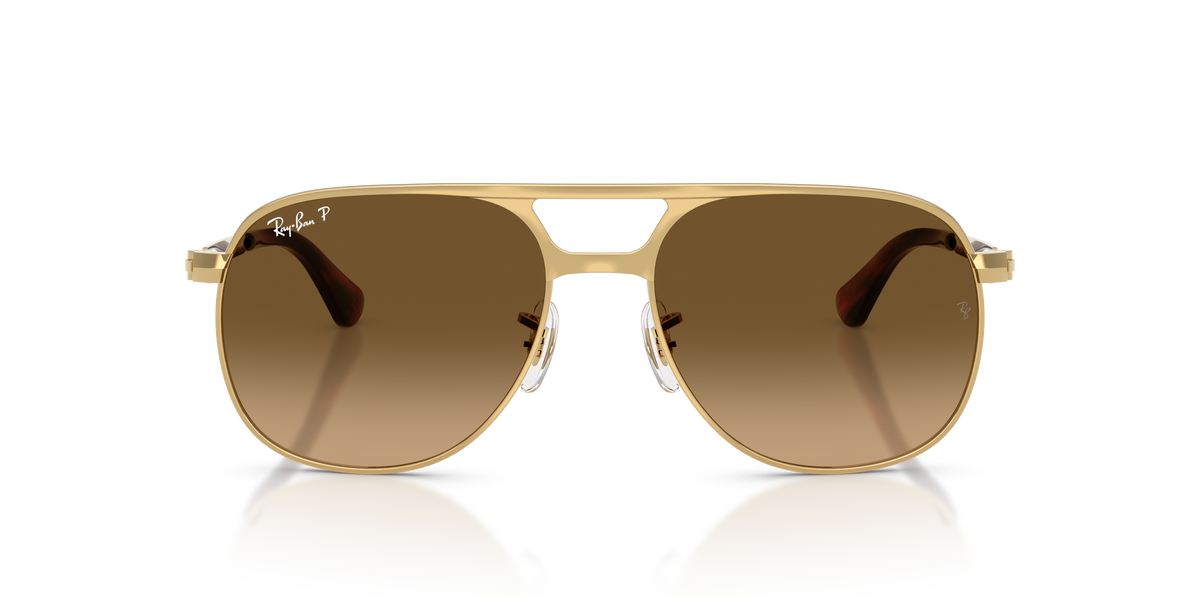 RAY BAN BILL MAX POLARIZED