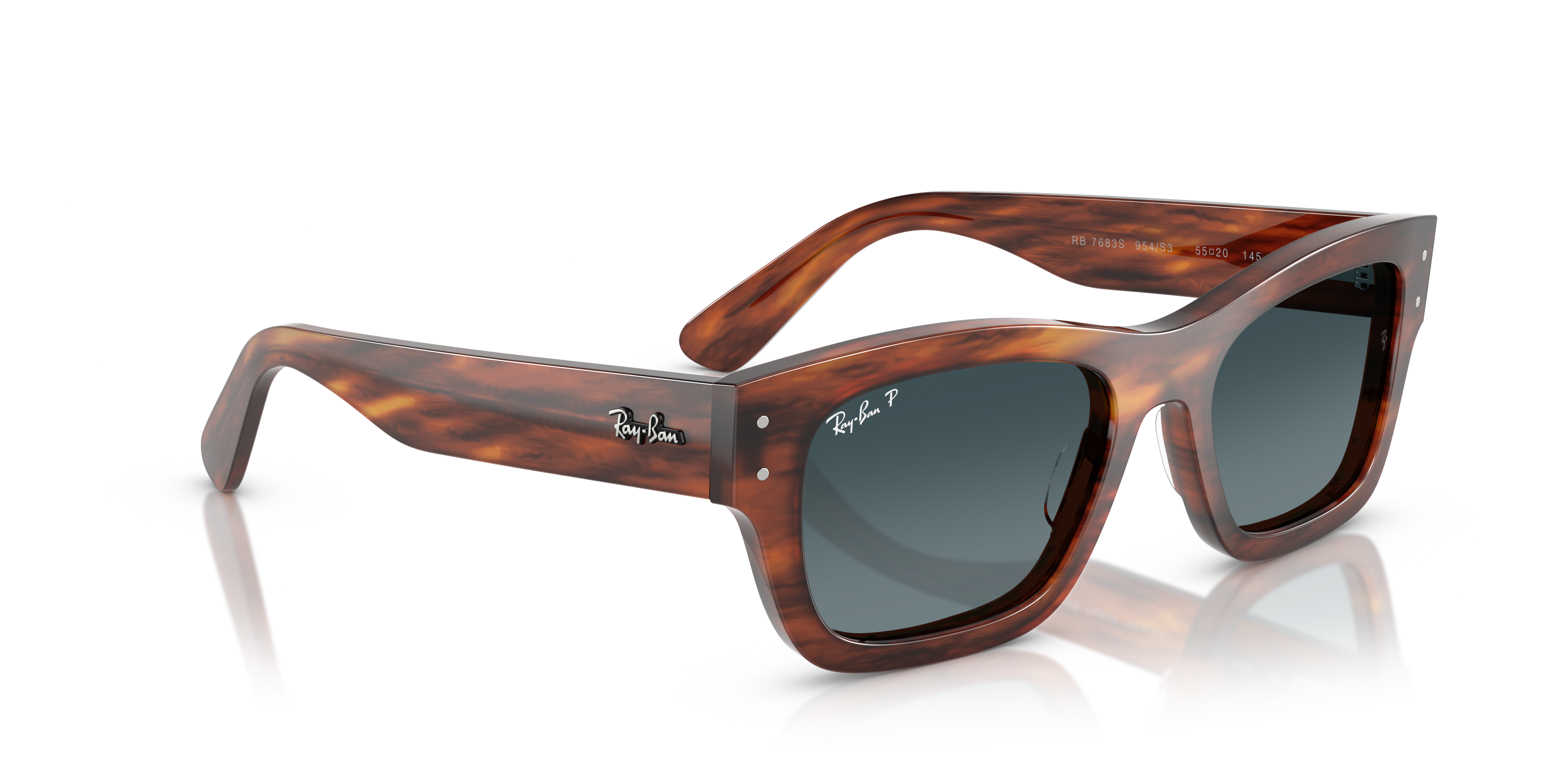 RAYBAN JOSEPH POLARIZED