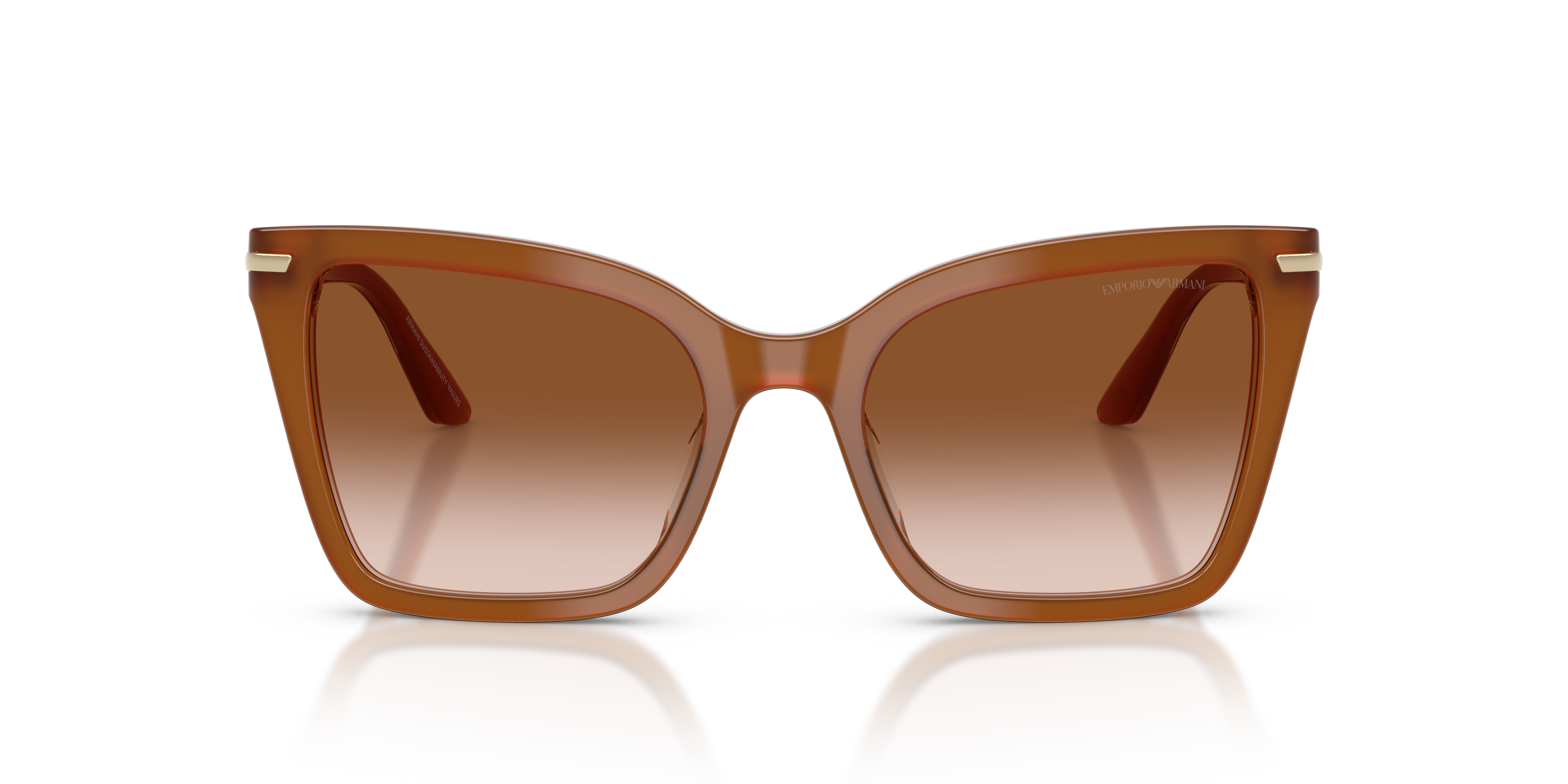 EMPORIO ARMANI 4273