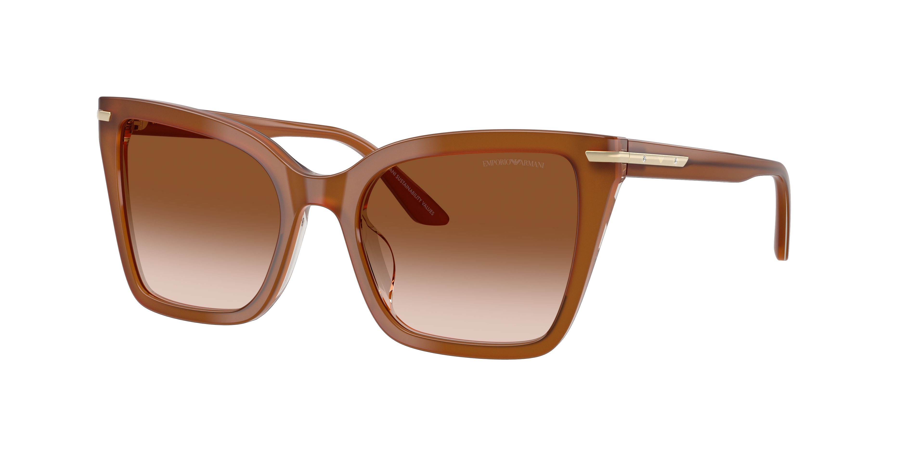 EMPORIO ARMANI 4273