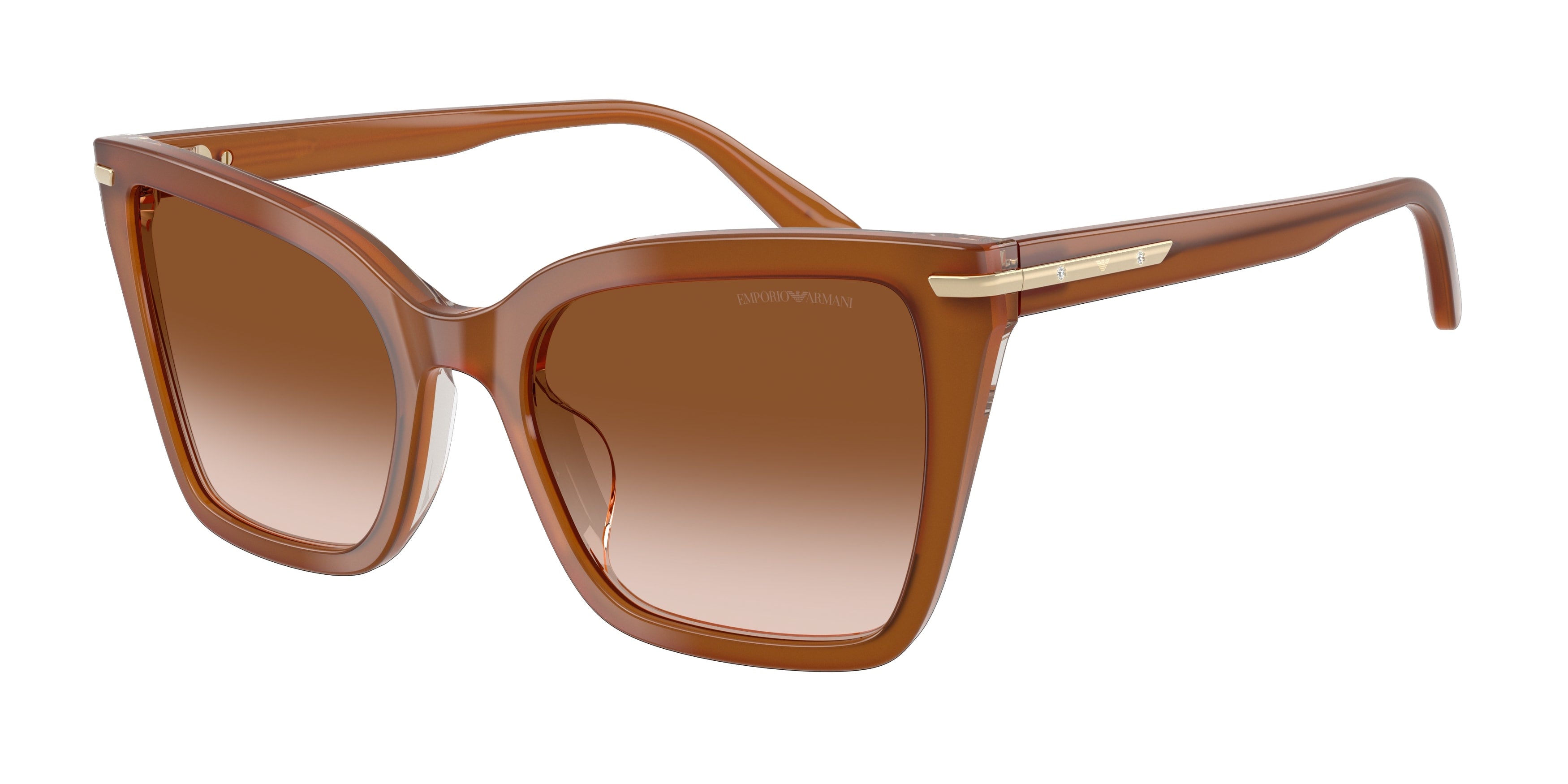 EMPORIO ARMANI 4273