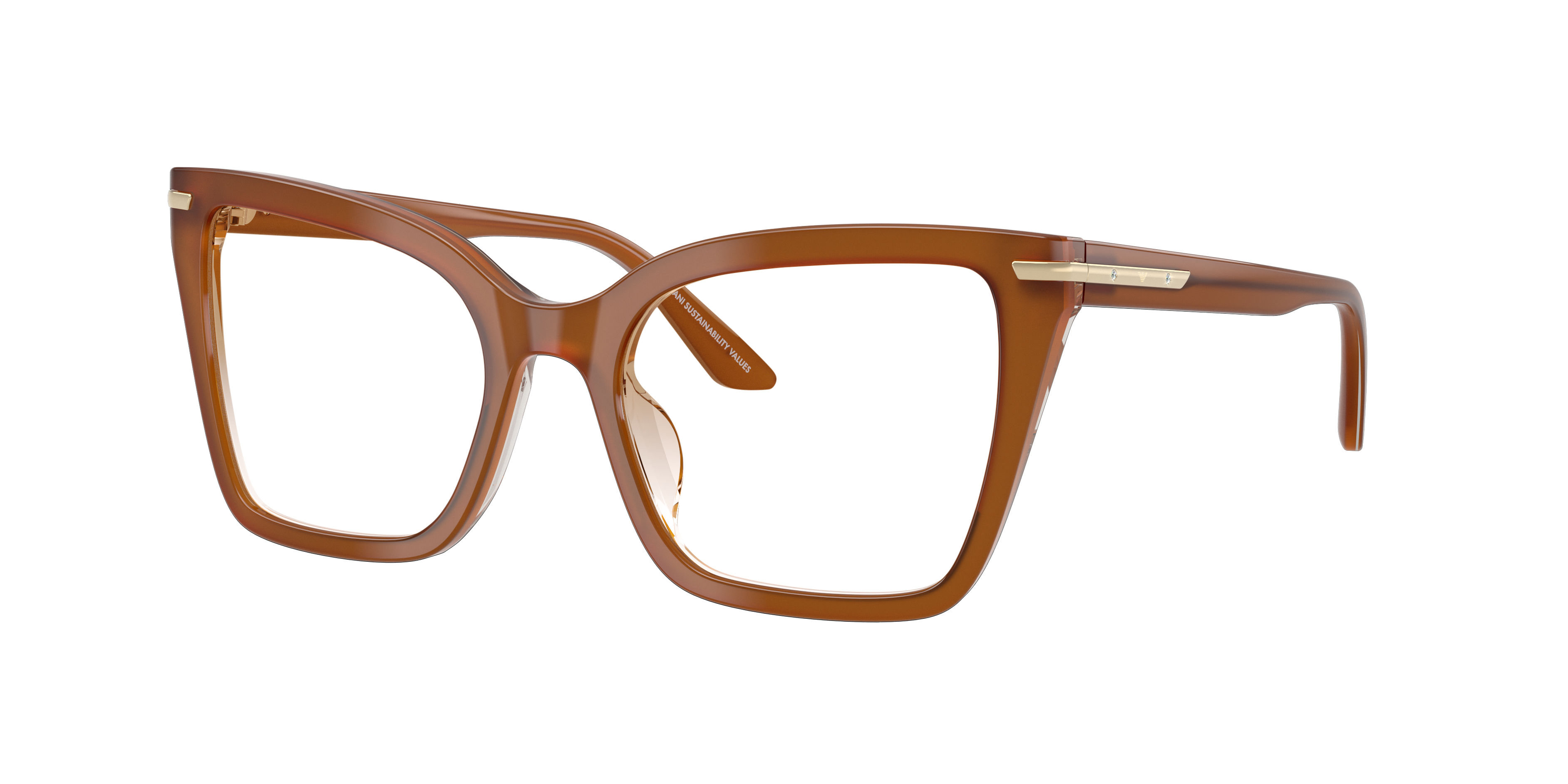 EMPORIO ARMANI 4273