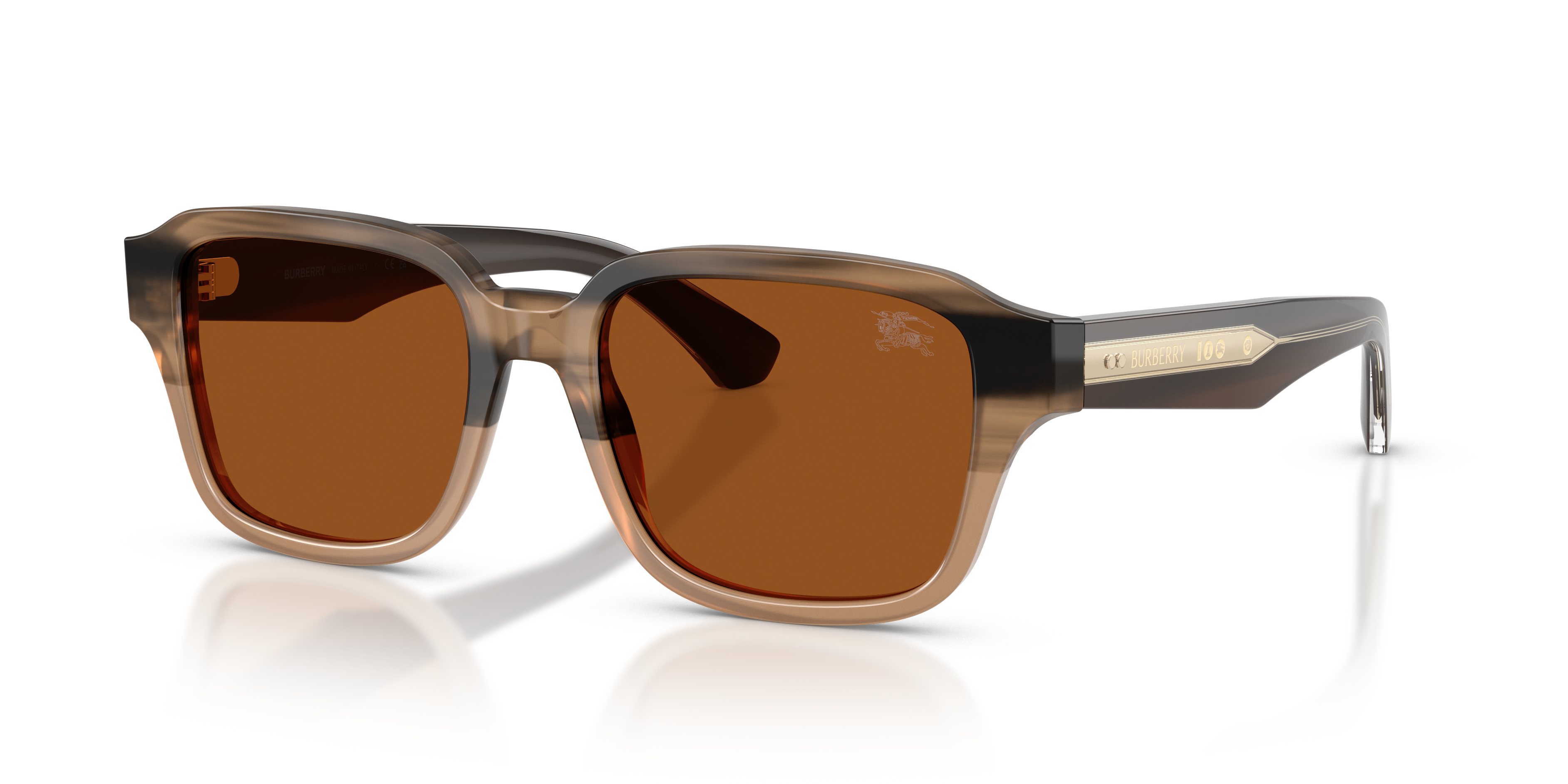 BURBERRY 4484