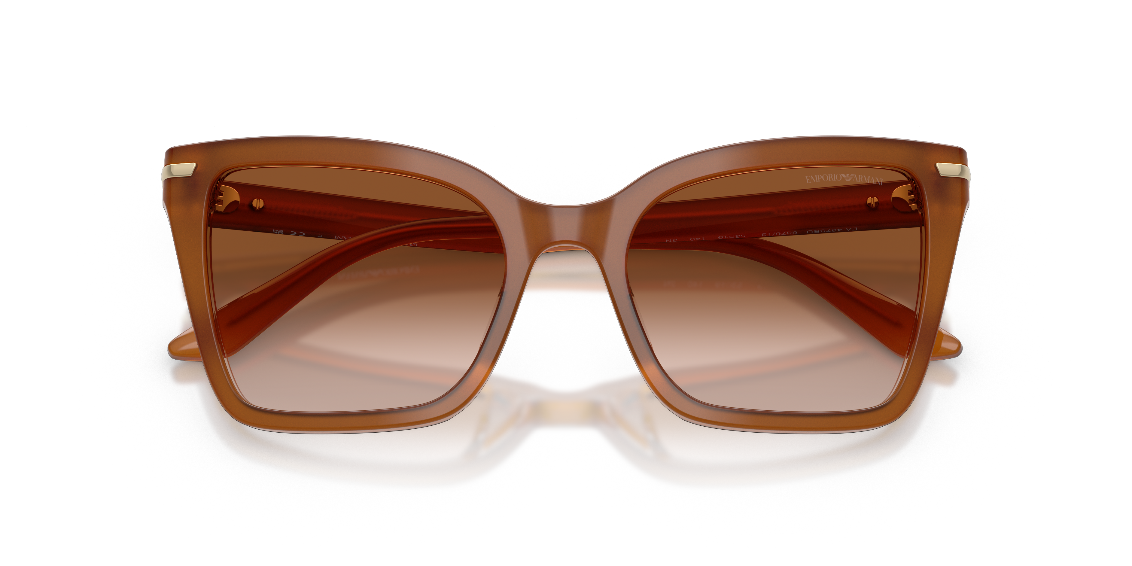 EMPORIO ARMANI 4273