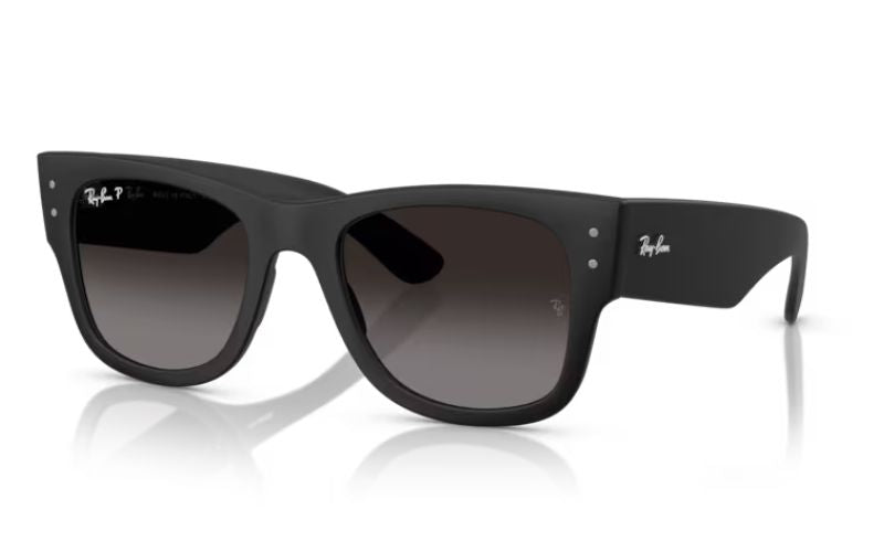 RAYBAN MEGA WAYFERER LITEFORCE MATT BLACK POLARIZED