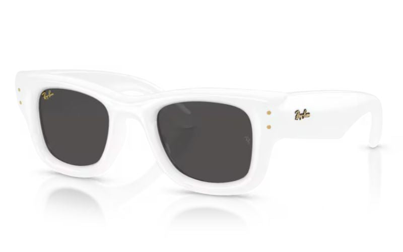 RAY BAN WAYFERER PUFFER