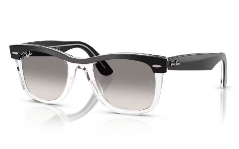 RAY BAN 2240 WAYFERER