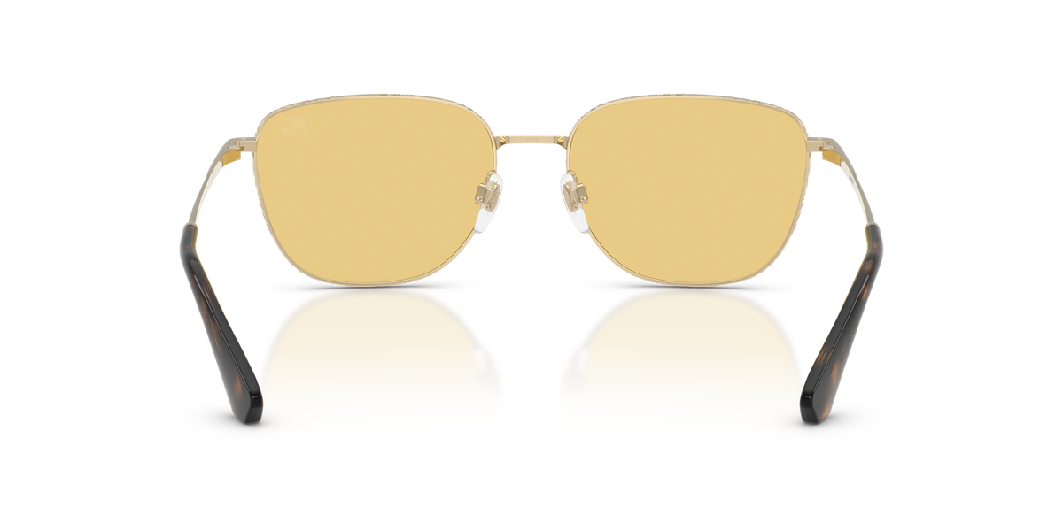BURBERRY 3171