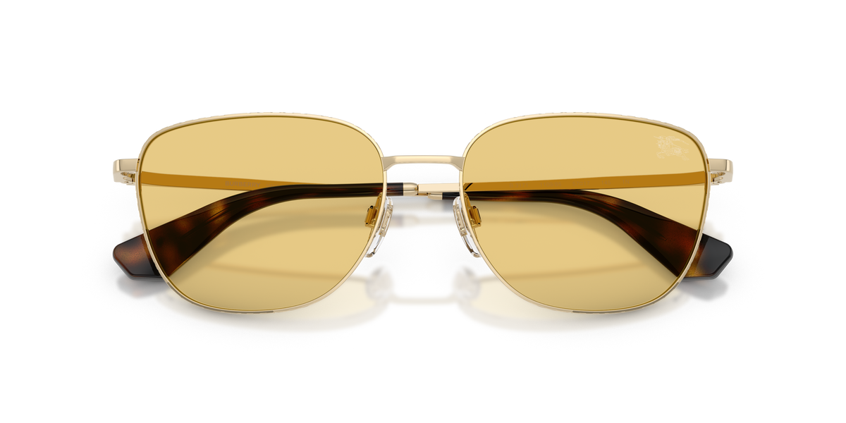 BURBERRY 3171