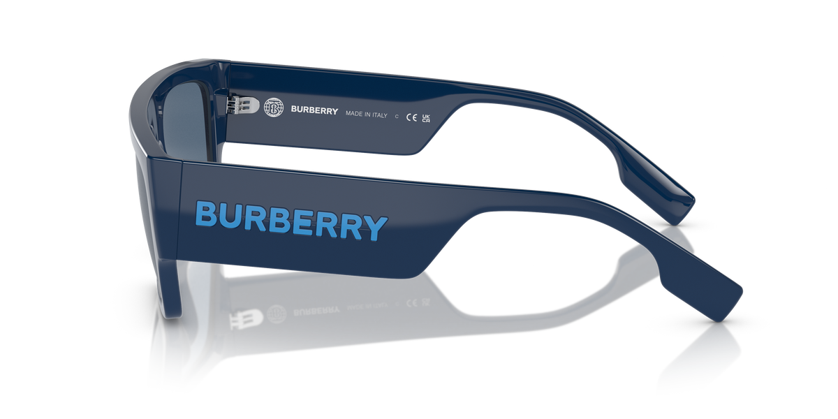 BURBERRY 4397