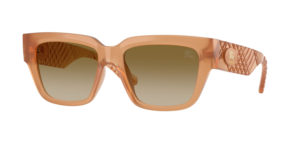 BURBERRY 4506