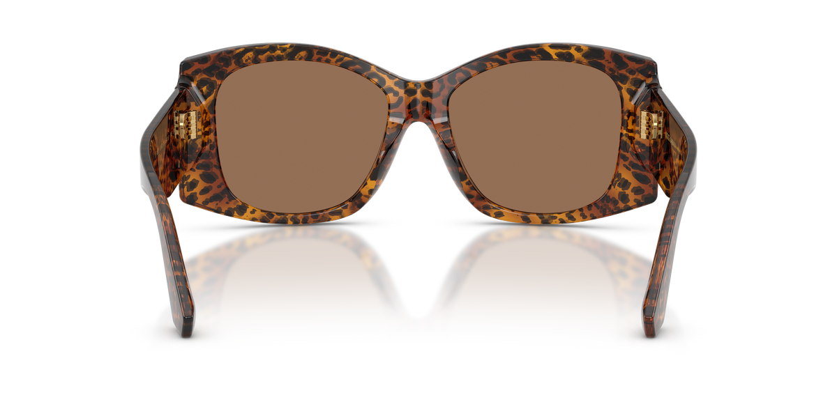 DOLCE GABBANA 4501