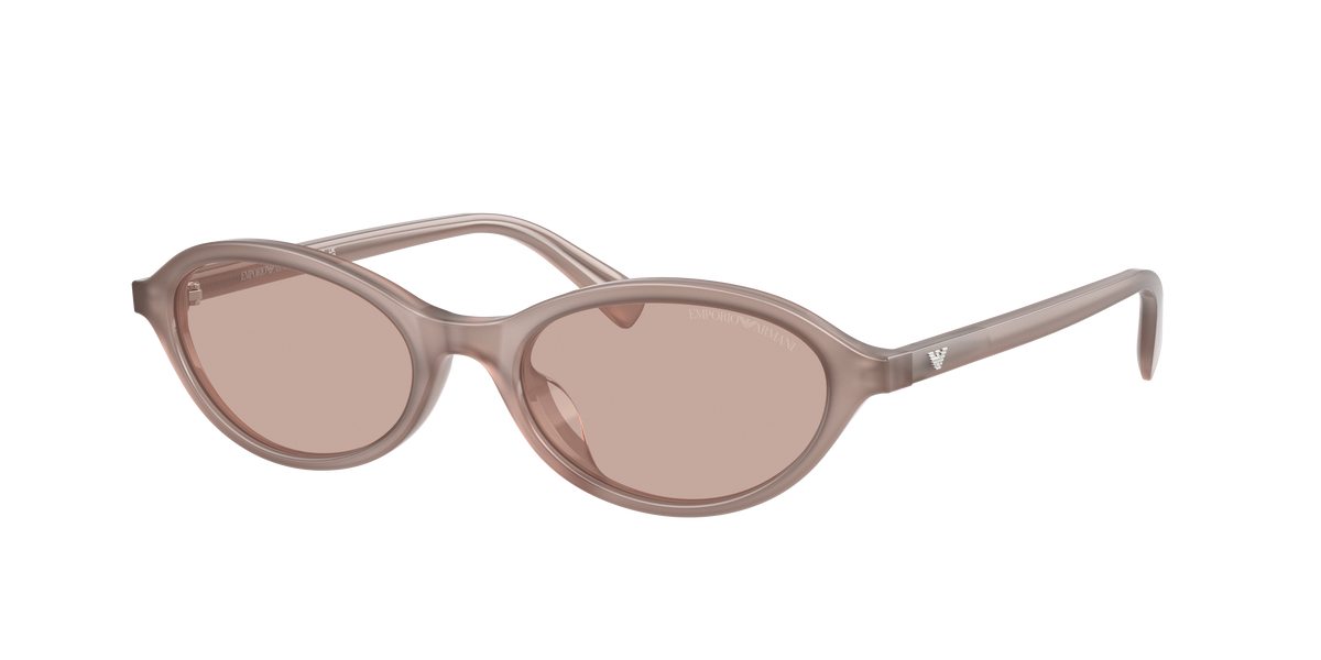 EMPORIO ARMANI  4281