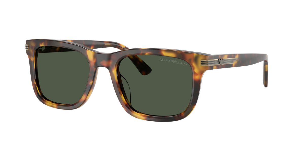 EMPORIO ARMANI 4282 POLARIZED