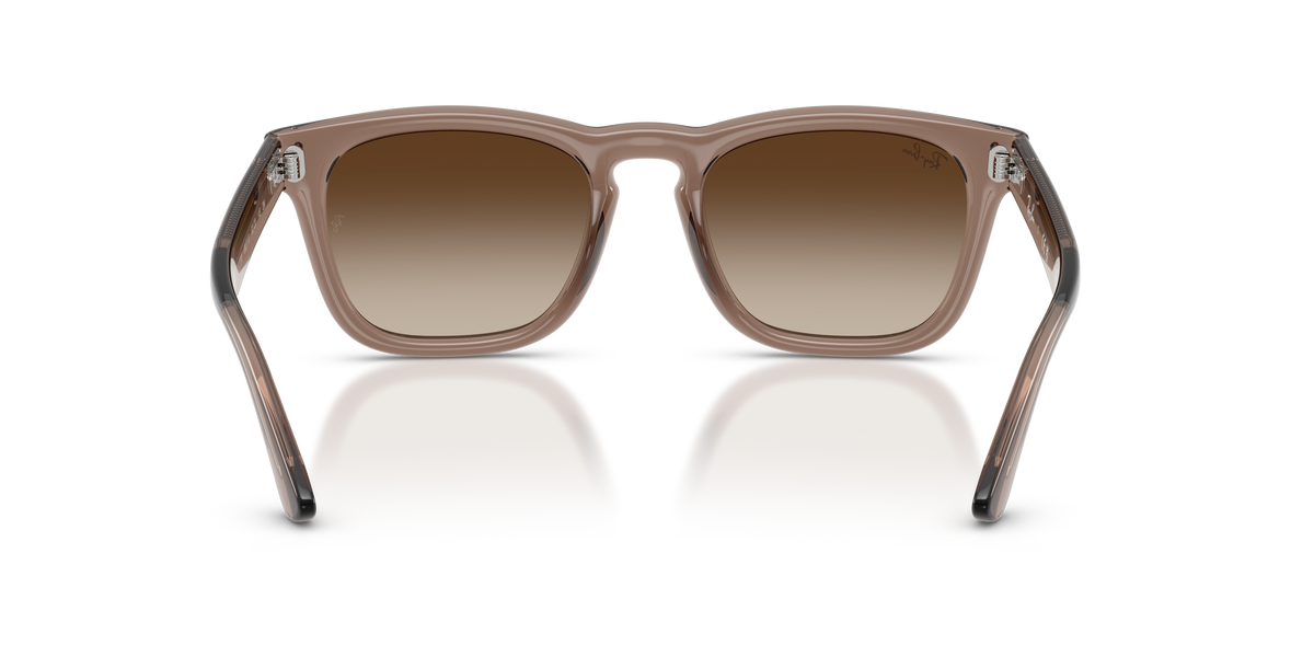 RAY BAN 2238