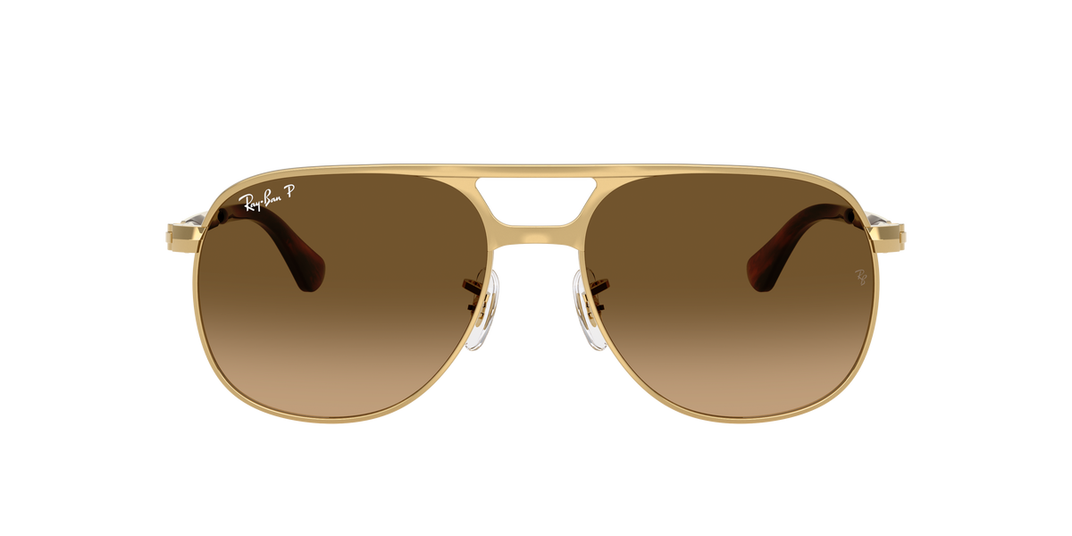 RAY BAN BILL MAX POLARIZED