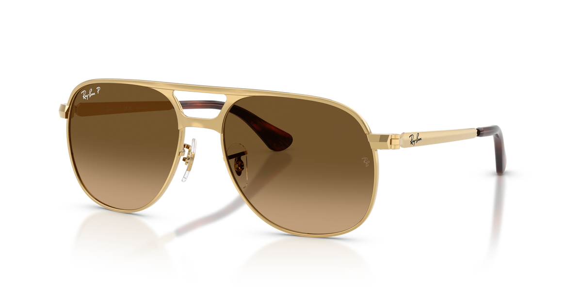 RAY BAN BILL MAX POLARIZED