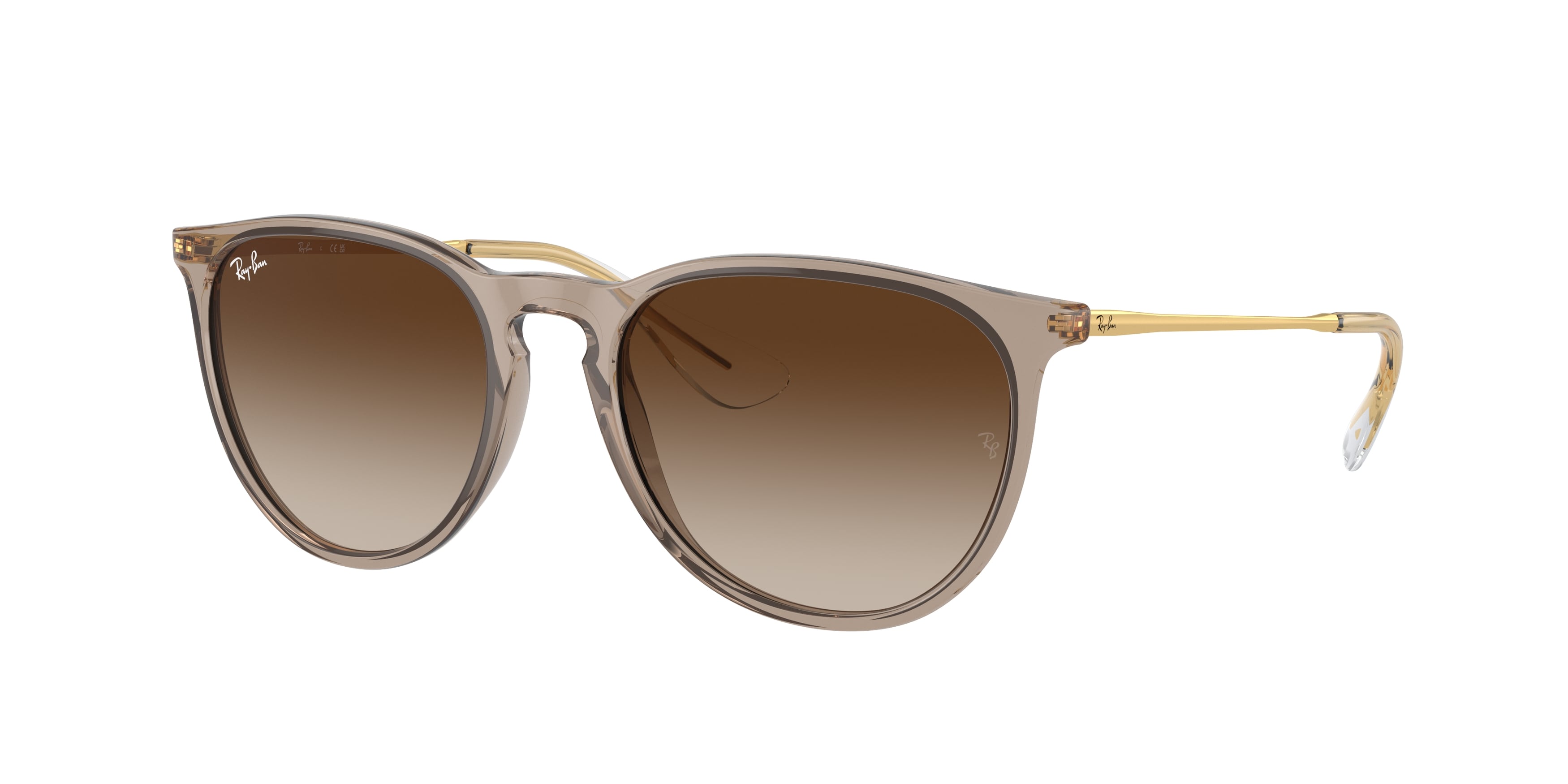 RAY BAN ERIKA