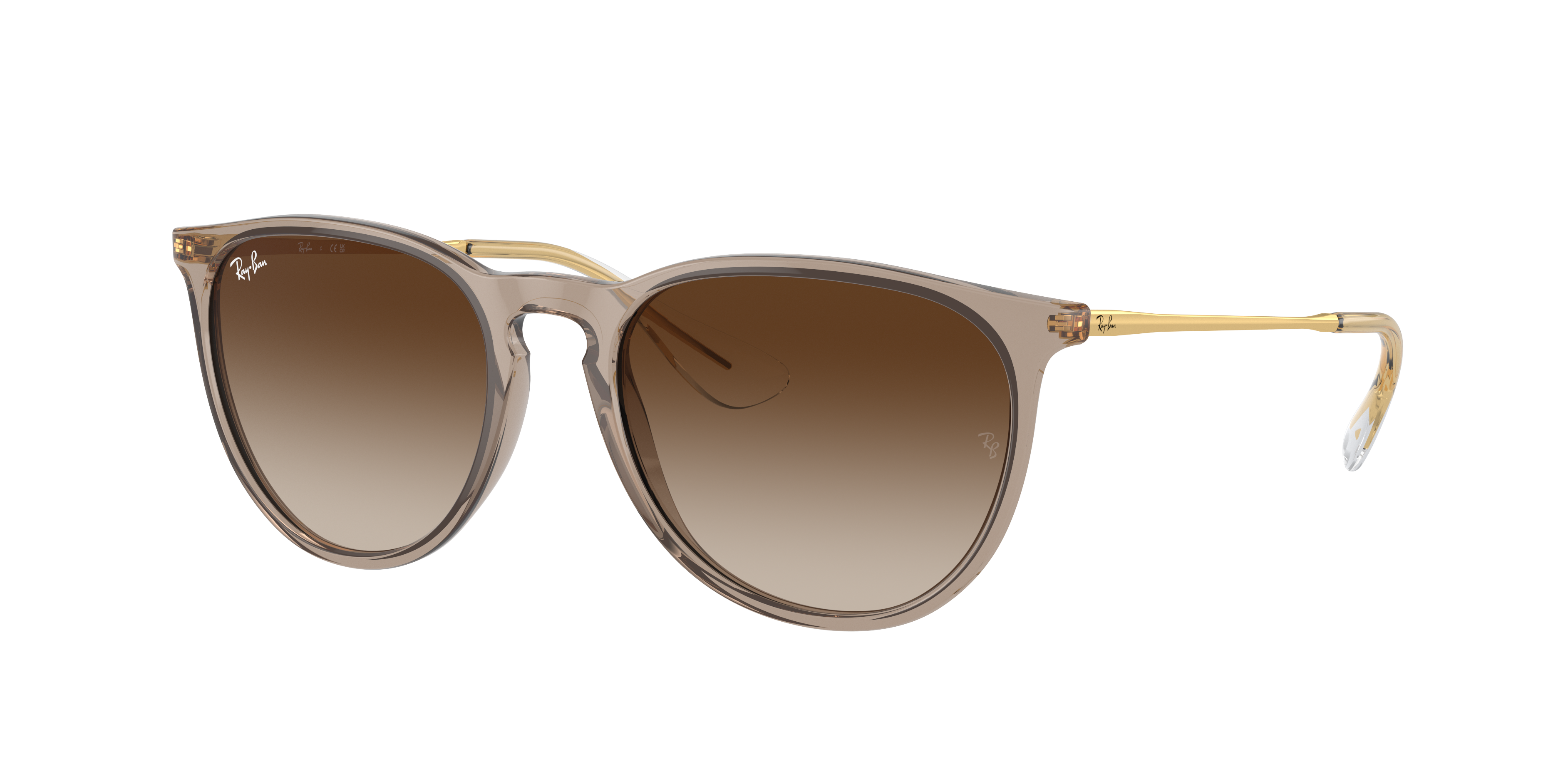 RAY BAN ERIKA
