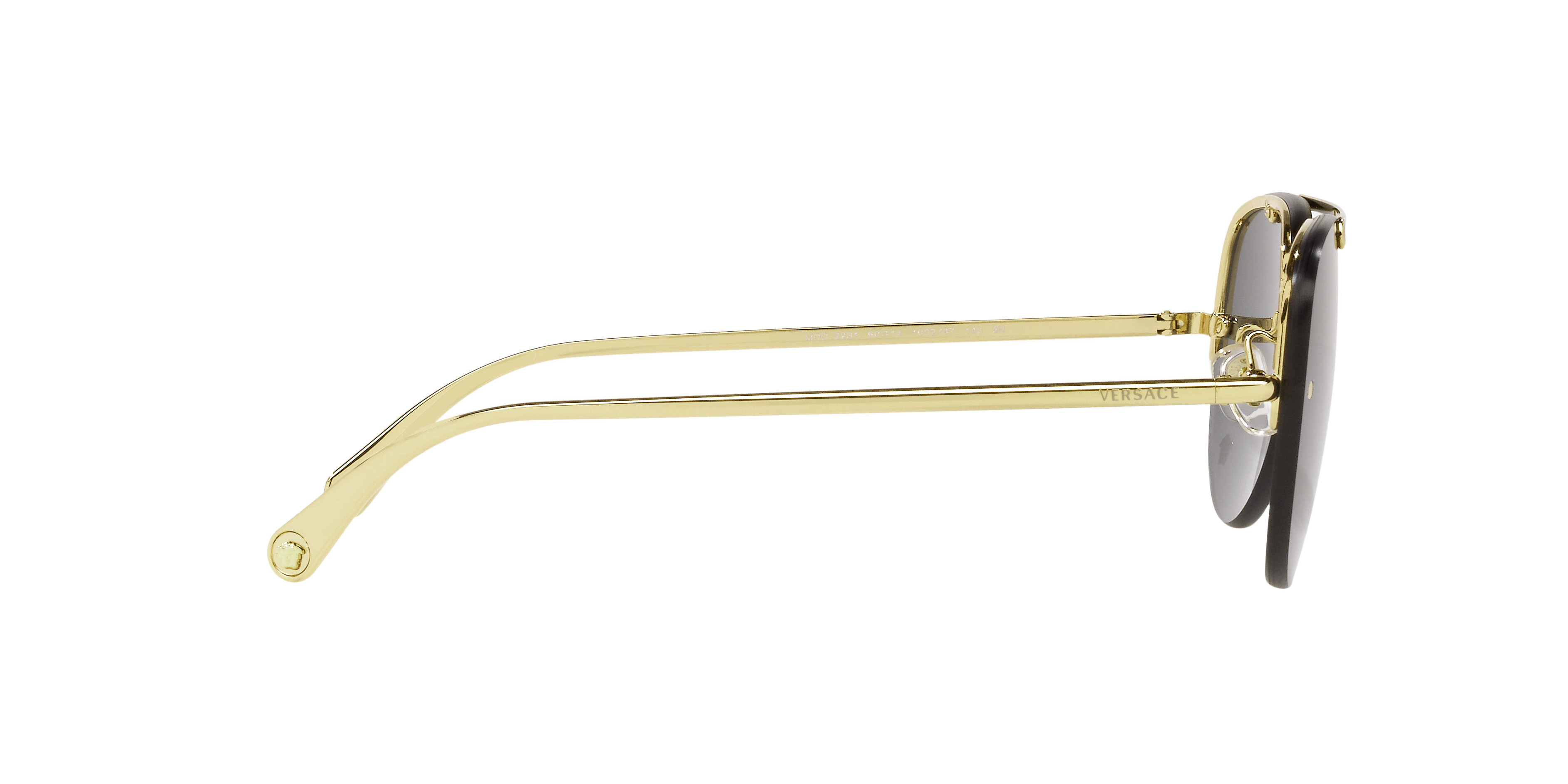 VERSACE 2231