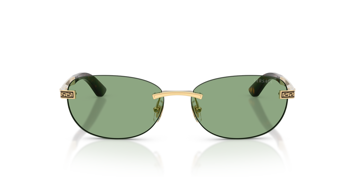 VERSACE 2307