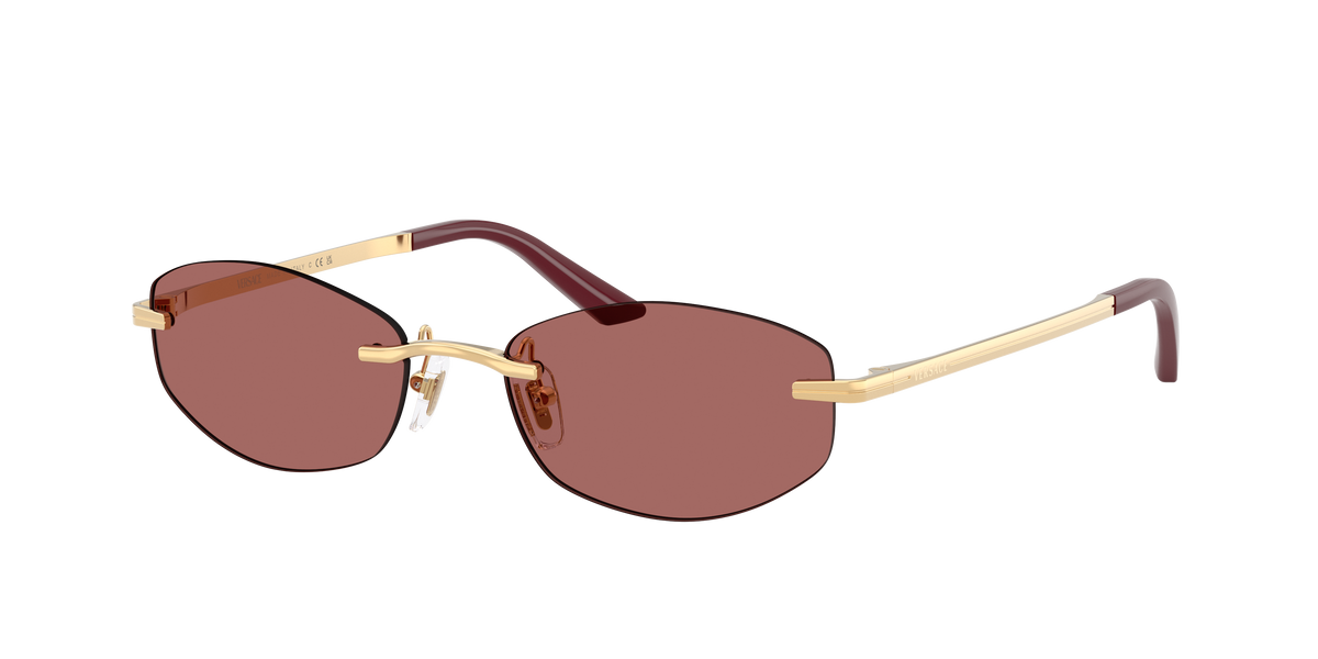 VERSACE 2308