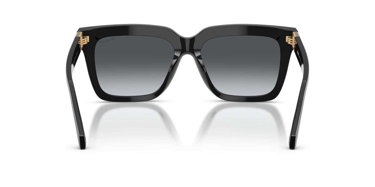 VERSACE 4498 POLARIZED