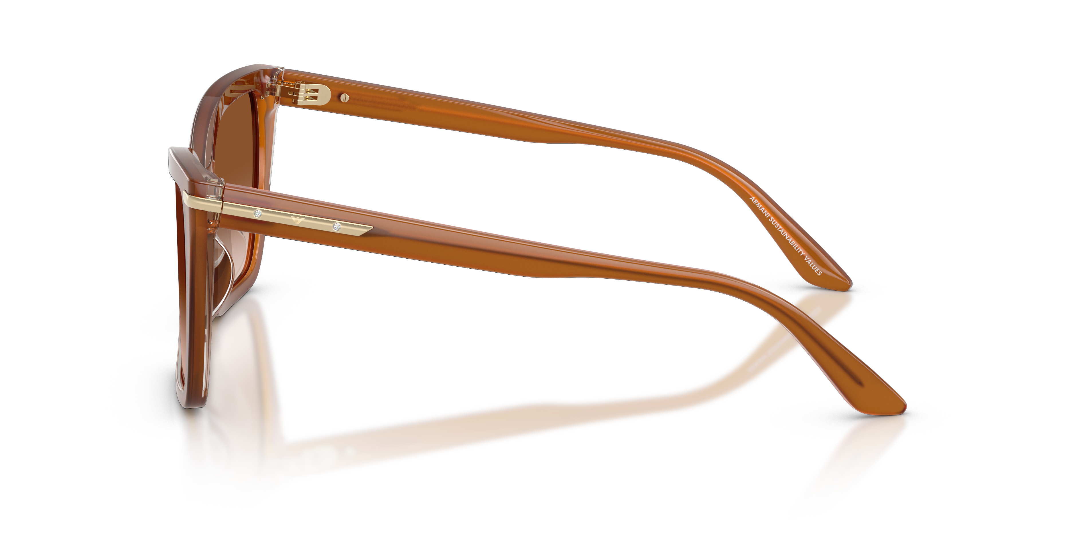EMPORIO ARMANI 4273