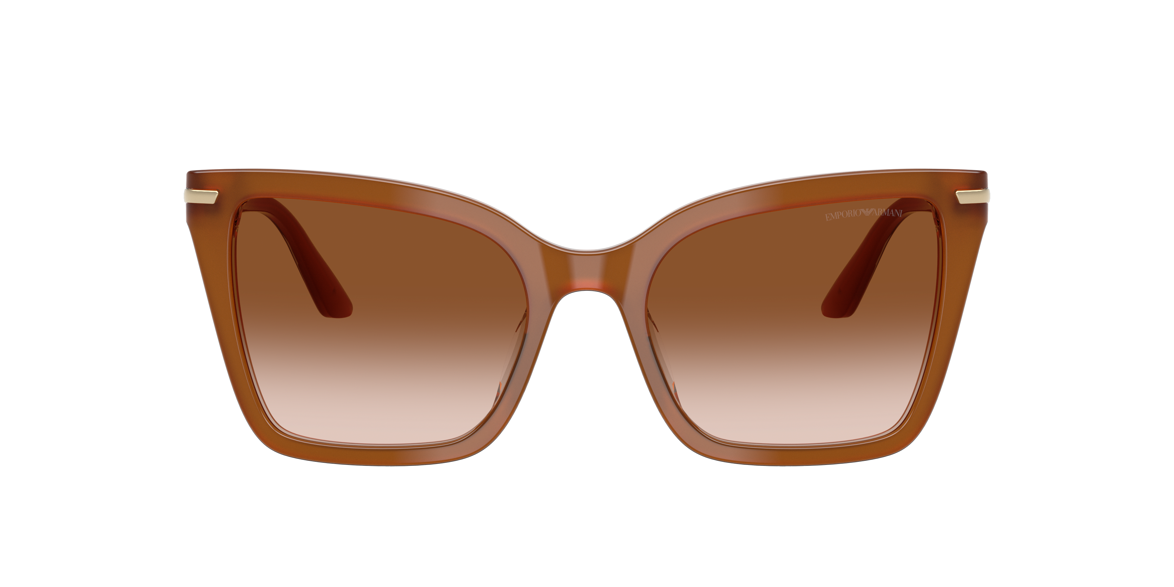 EMPORIO ARMANI 4273