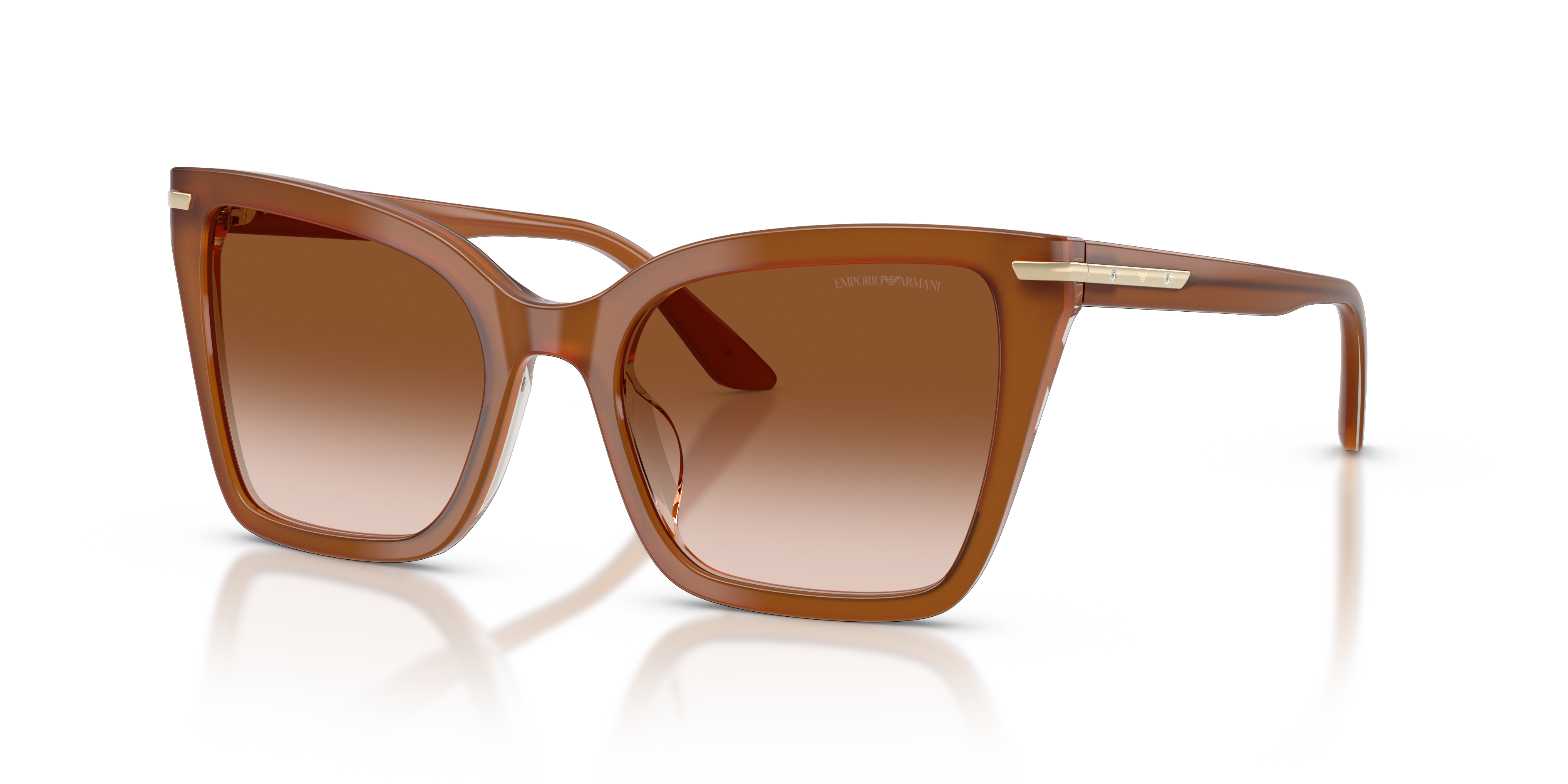 EMPORIO ARMANI 4273