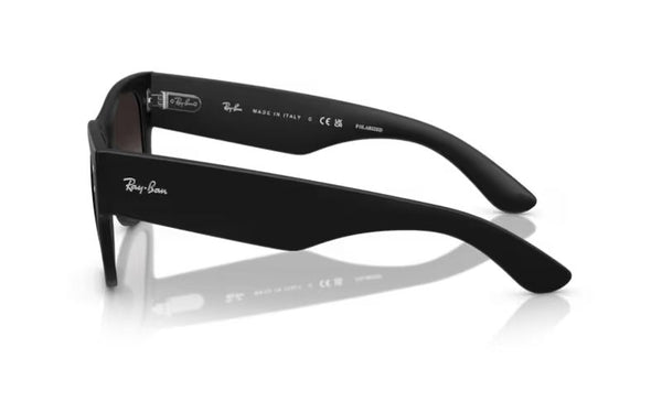 RAYBAN MEGA WAYFERER LITEFORCE POLARIZED