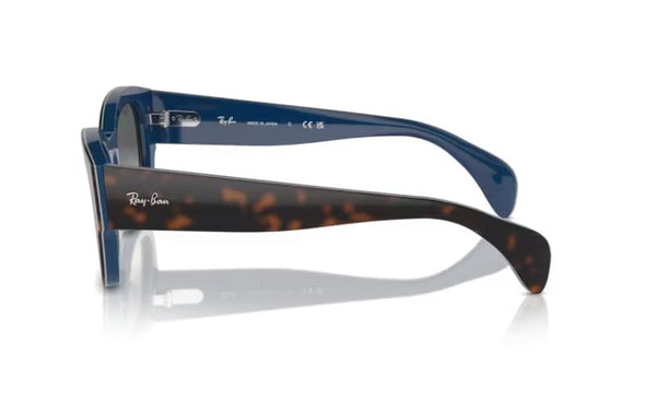 RAY BAN 7681