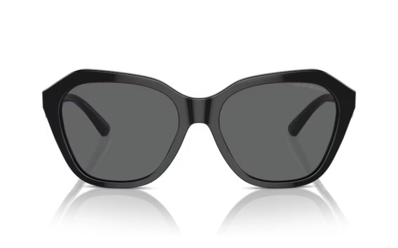 EMPORIO ARMANI 4221