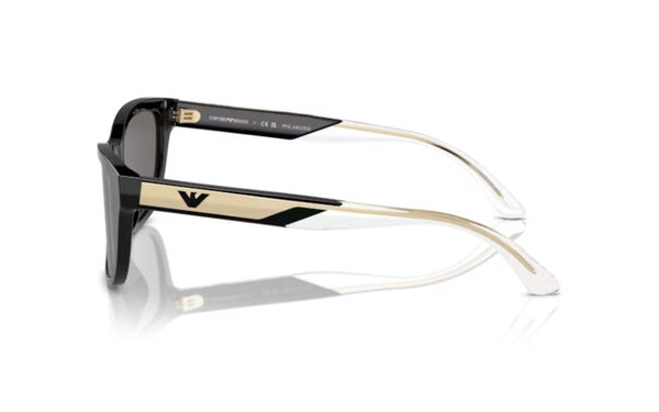 EMPORIO ARMANI  4227 POLARIZED