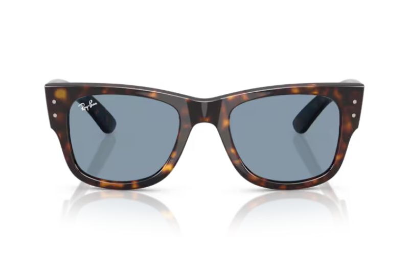RAY BAN MEGA WAYFERER
