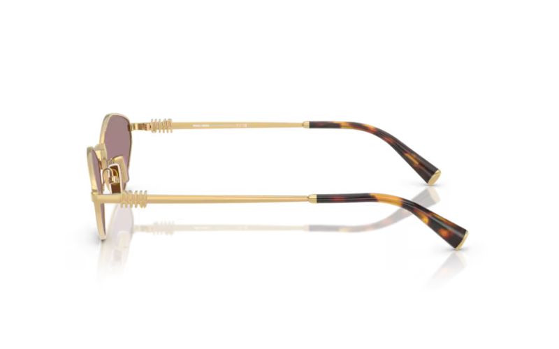 MIU MIU  56z