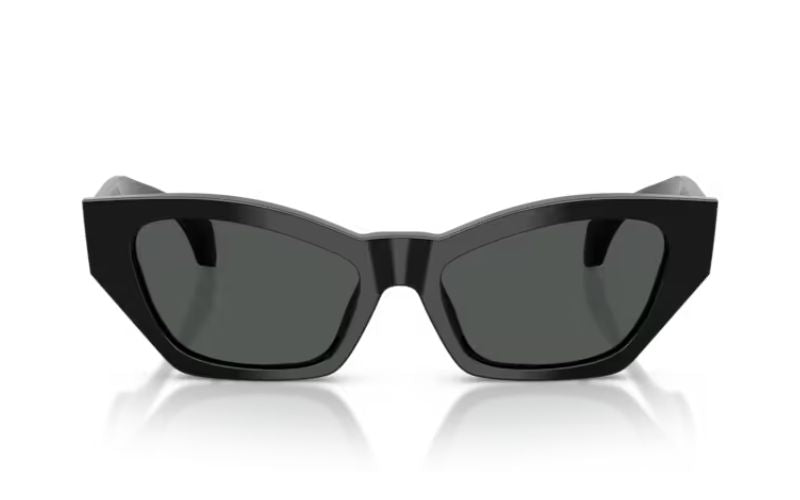 VERSACE  4488
