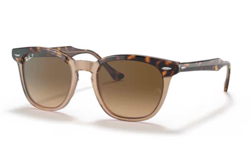 RAY BAN  2298 POLARIZED