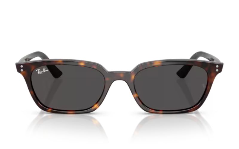 RAY BAN ZAYA