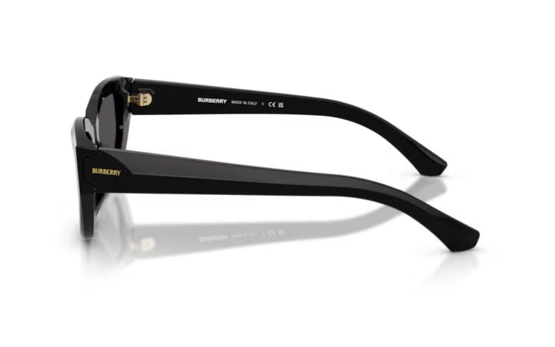 BURBERRY 4463-NEW