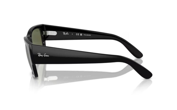 Ray ban Carlos polarized