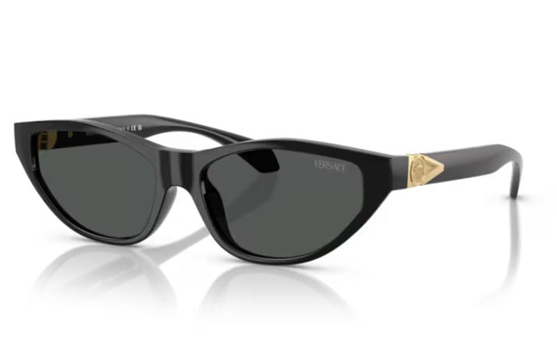 VERSACE  4491