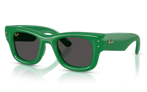 RAY-BAN PUFFER